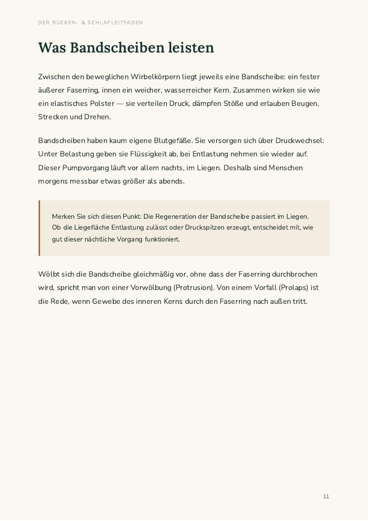Leitfaden Seite 11 von 28